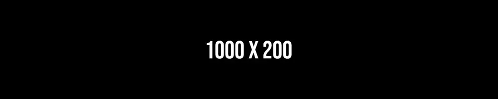 1000 x 200