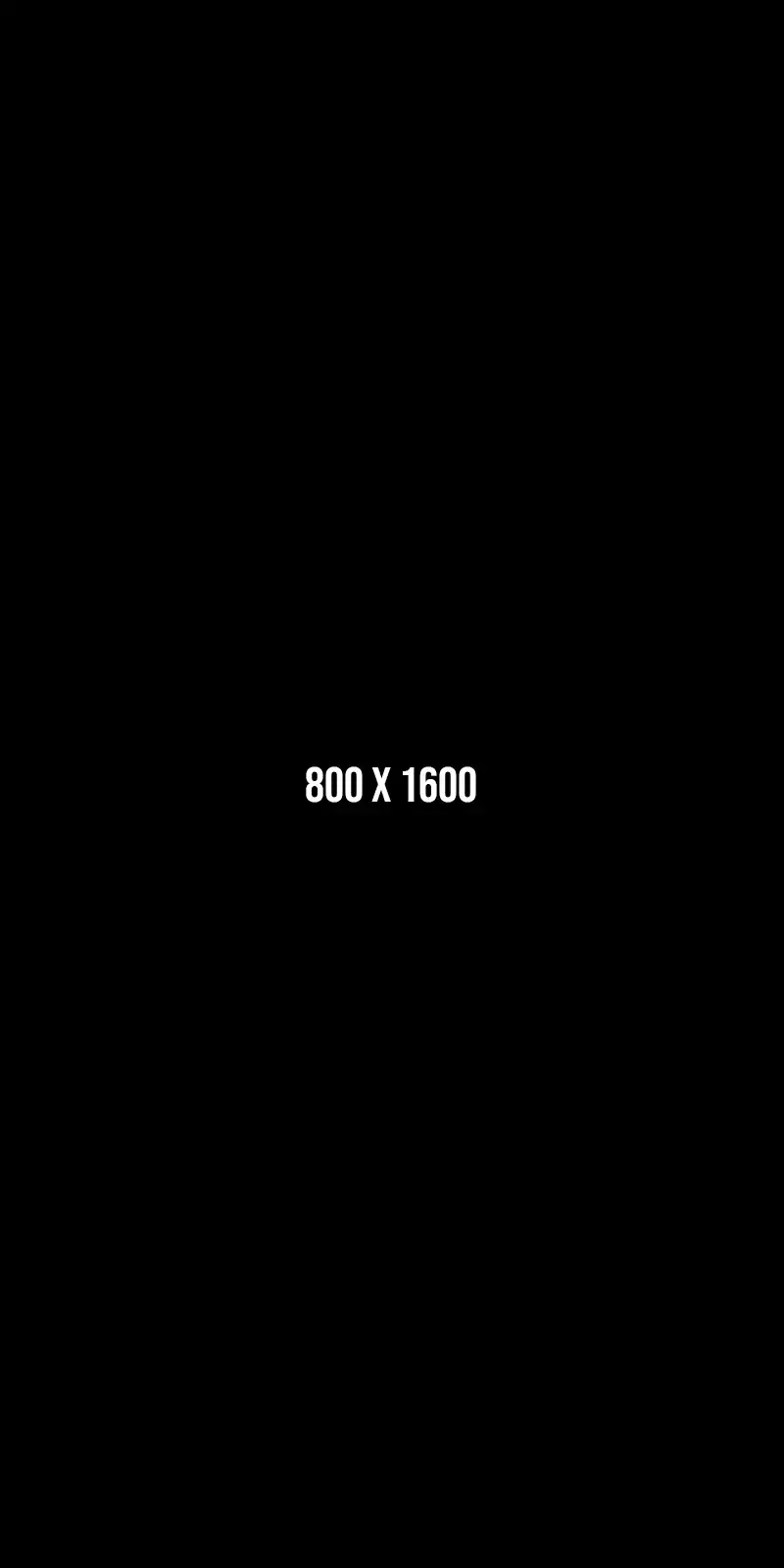 800x1600
